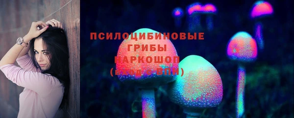 ешки Новозыбков