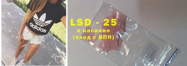 тгк Новодвинск