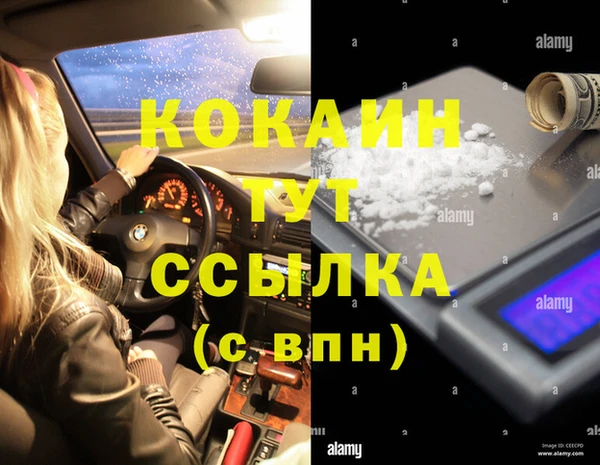 ешки Новозыбков