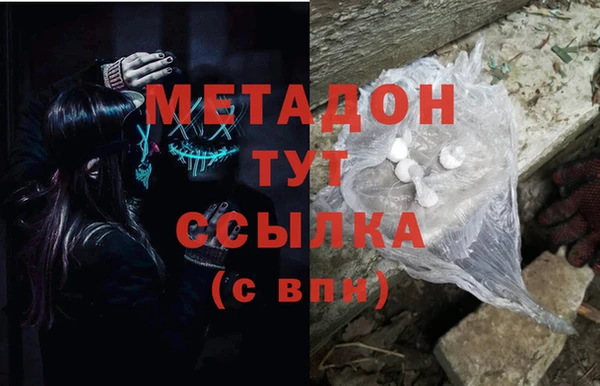 прущие грибы Наволоки
