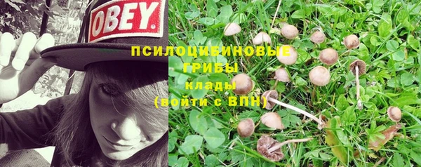 скорость Новокубанск