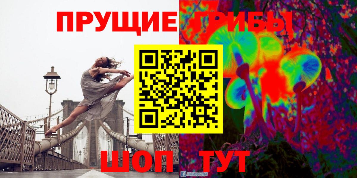Псилоцибиновые грибы Psilocybine cubensis  Вход с VPN  Псилоцибиновые грибы мицелий  Красноуфимск 